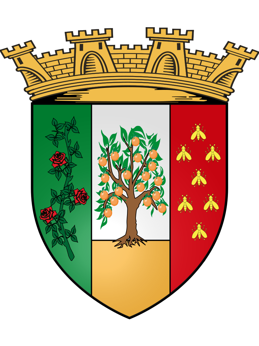 City of Blida